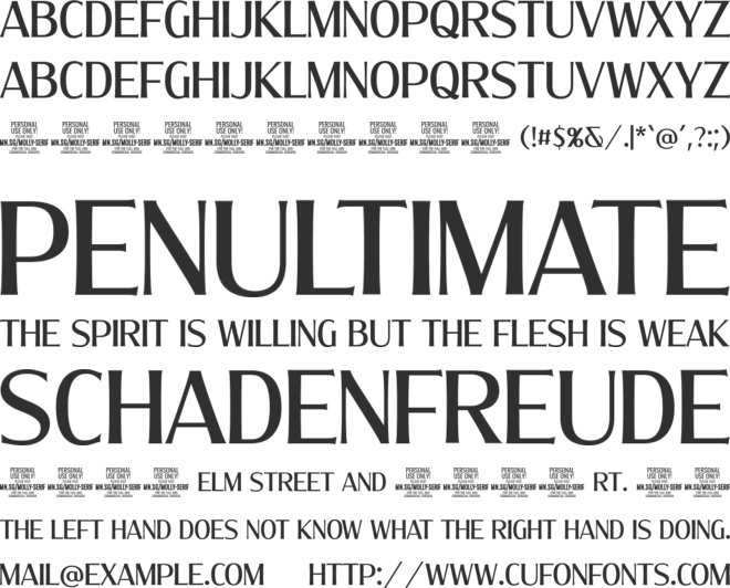 Molly Serif C PERSONAL font preview