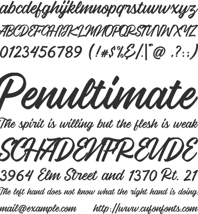 Vigrand  Aged font preview