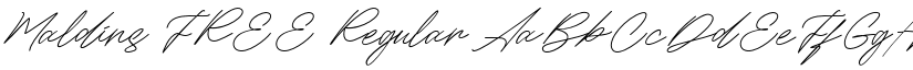 Maldins FREE font download