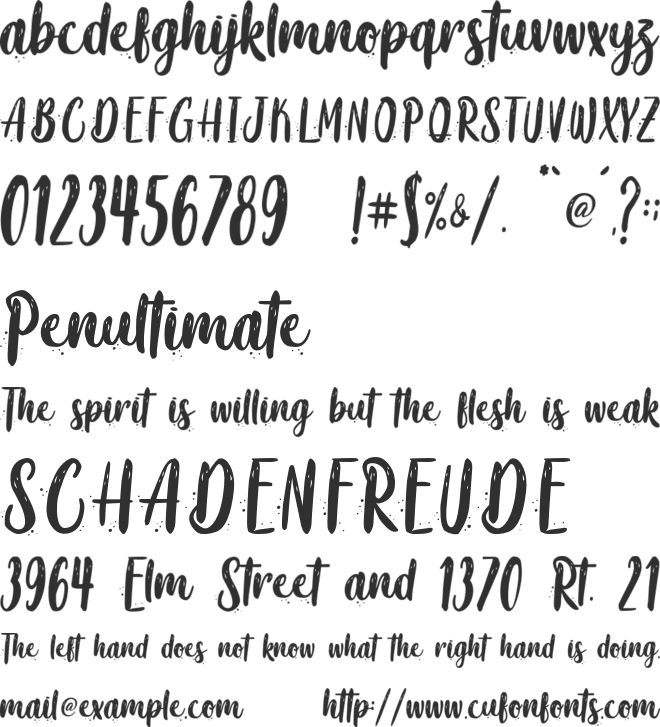 Coaster Quake - Personal Use font preview
