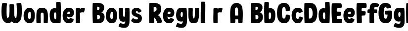 Wonder Boys Regular font