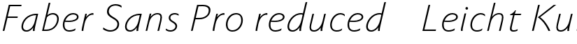 Faber Sans Pro reduced 46 Leicht Kursiv font