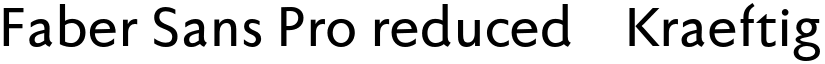 Faber Sans Pro reduced 65 Kraeftig font
