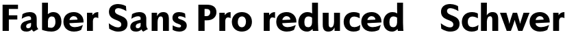 Faber Sans Pro reduced 85 Schwer font