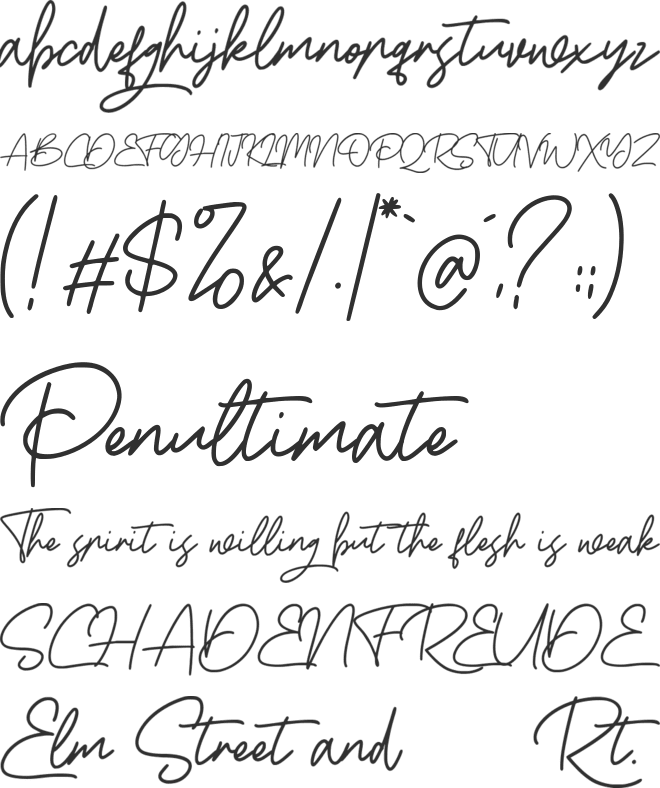 Boss Signature font preview