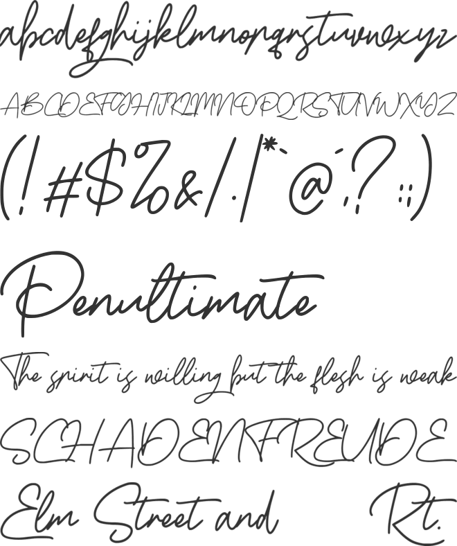 Boss Signature font preview