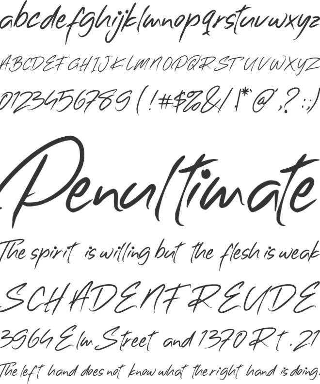 Valentino font preview