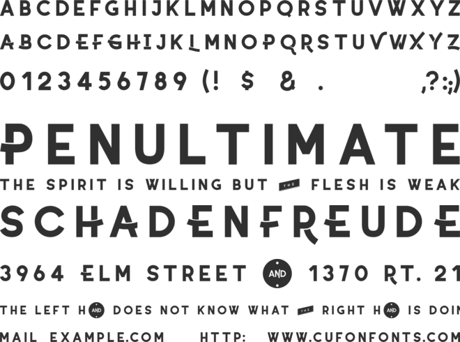 Coyote font preview