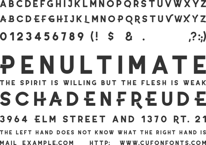 Coyote Font : Download Free for Desktop & Webfont