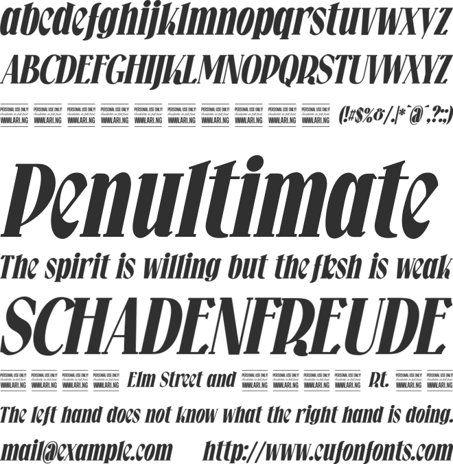 Falkin Serif  Ital PERSONAL font preview