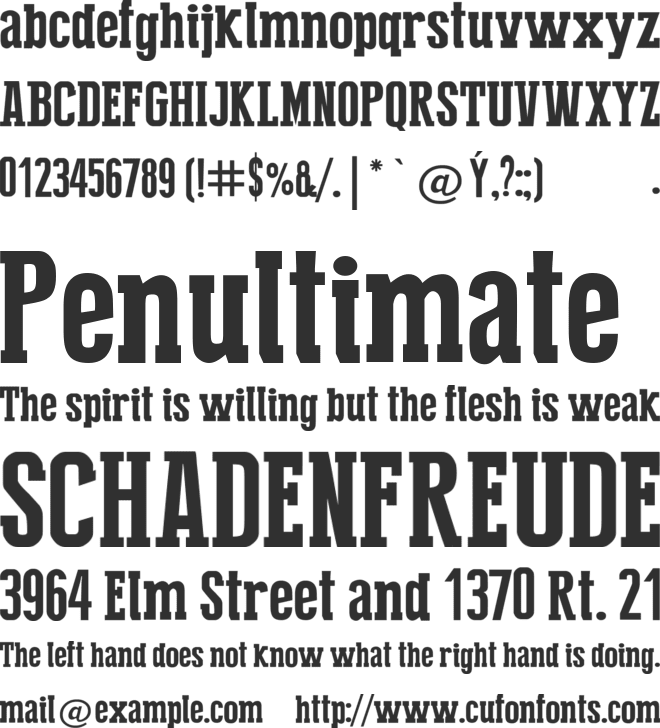 Press Serif Cool font preview