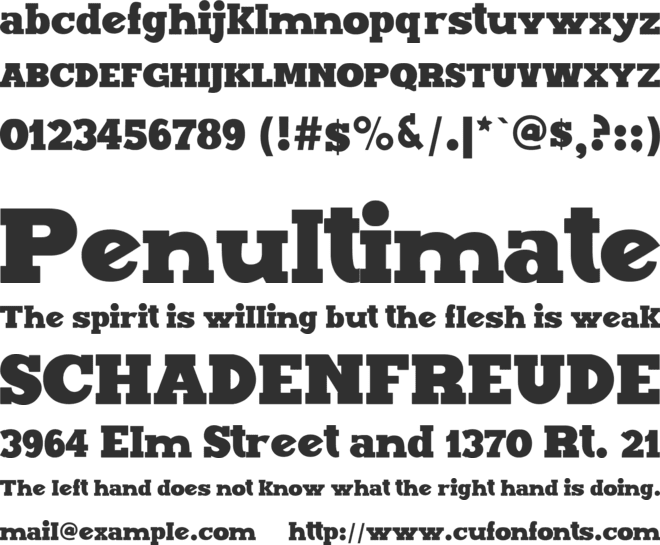 Maxxi Serif font preview