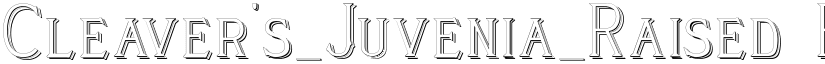 Cleaver's_Juvenia_Raised Regular font