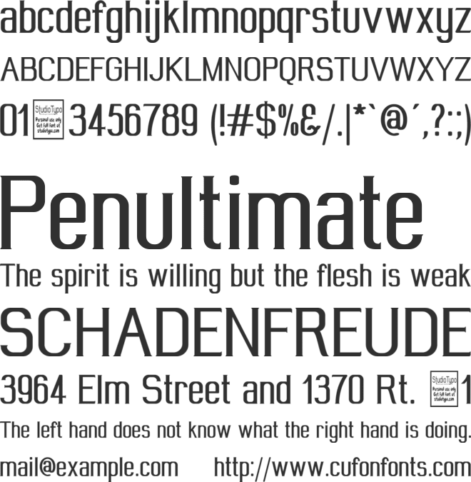 Wideroy font preview