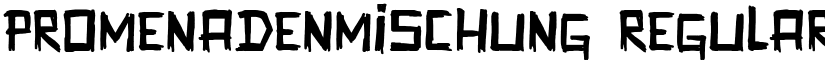 Promenadenmischung Regular font