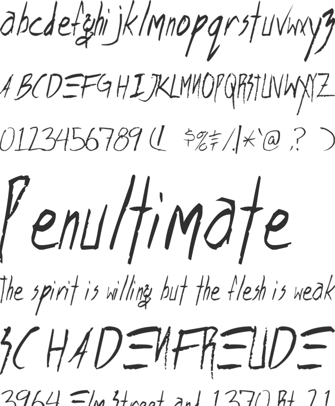 Shank font preview