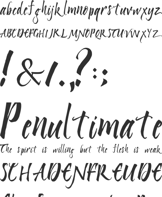 My Nerd font preview