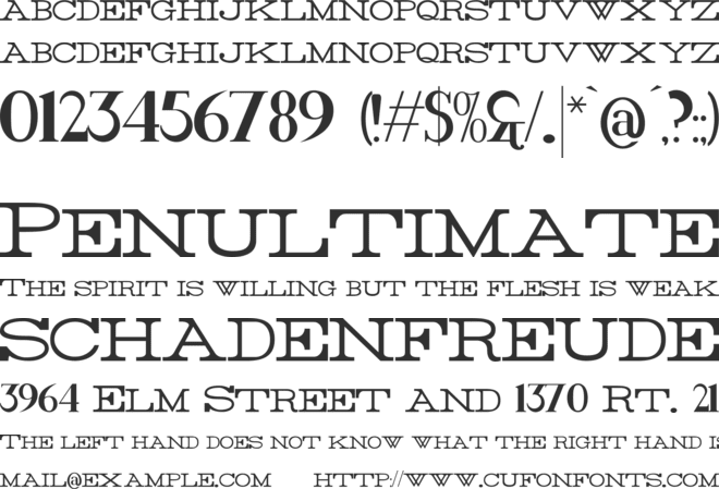 Rider font preview