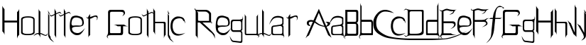 Holitter Gothic Regular font