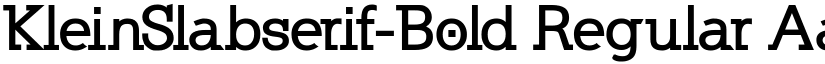 KleinSlabserif-Bold Regular font