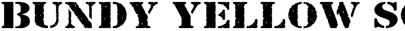 Bundy Yellow Solid font