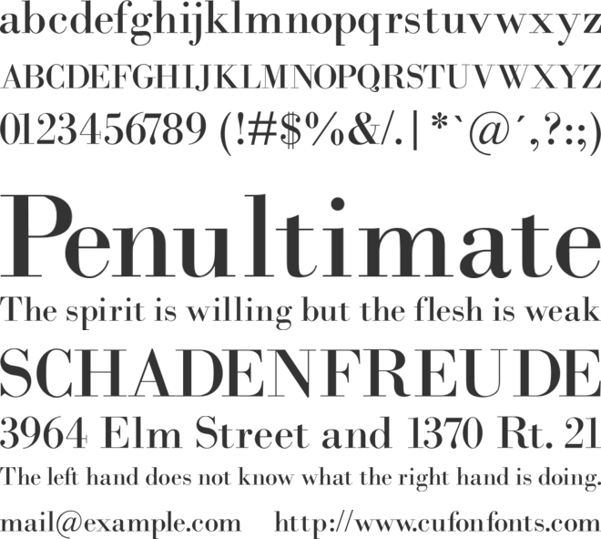 Bodidota font preview