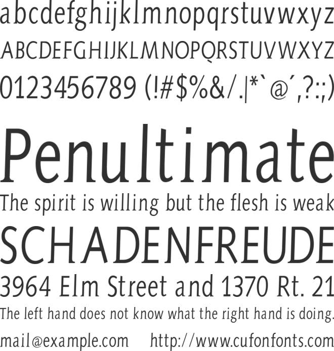AidaSerifa-Condensed font preview