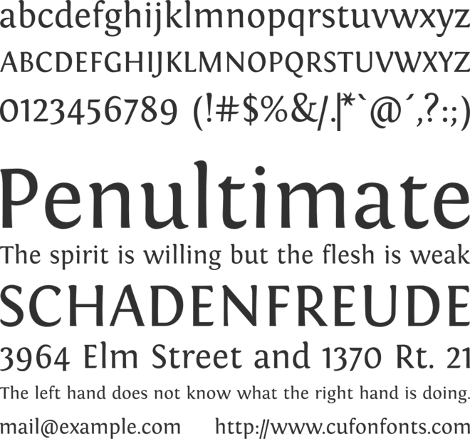 Fontin font preview