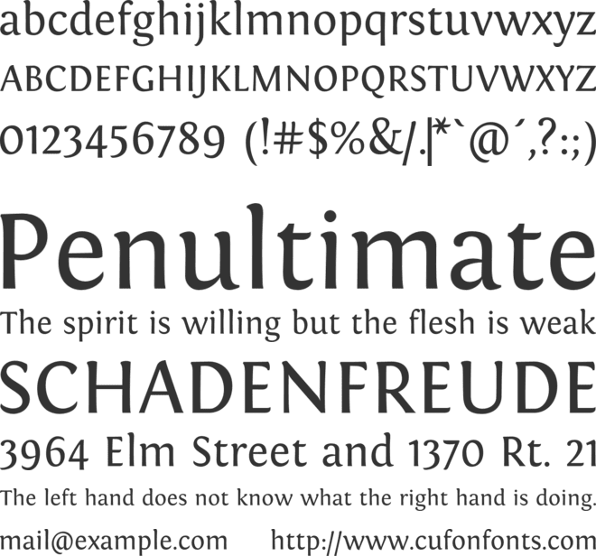 Fontin font preview