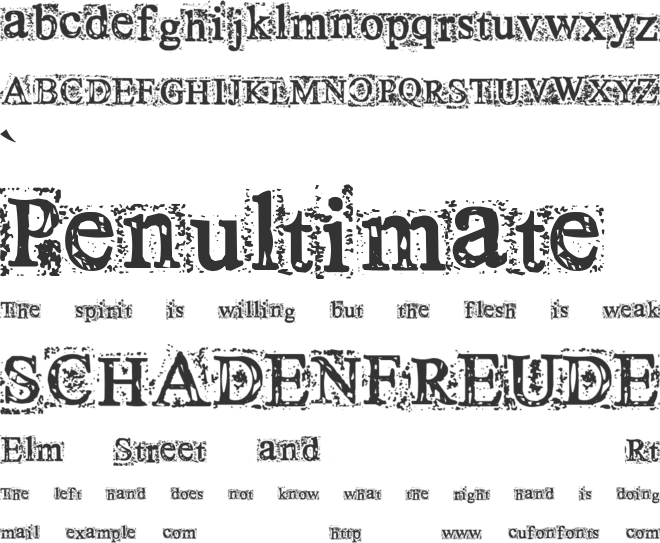 Times New Omen font preview