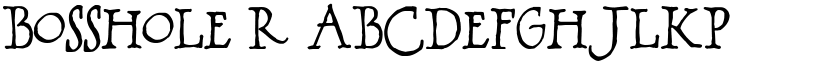BOSSHOLE Regular font