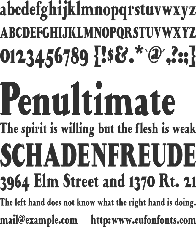 HappyCampersNF font preview