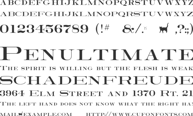 RRRoman font preview