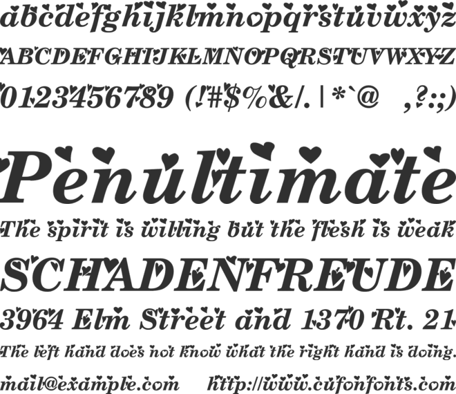 Times New Romance font preview