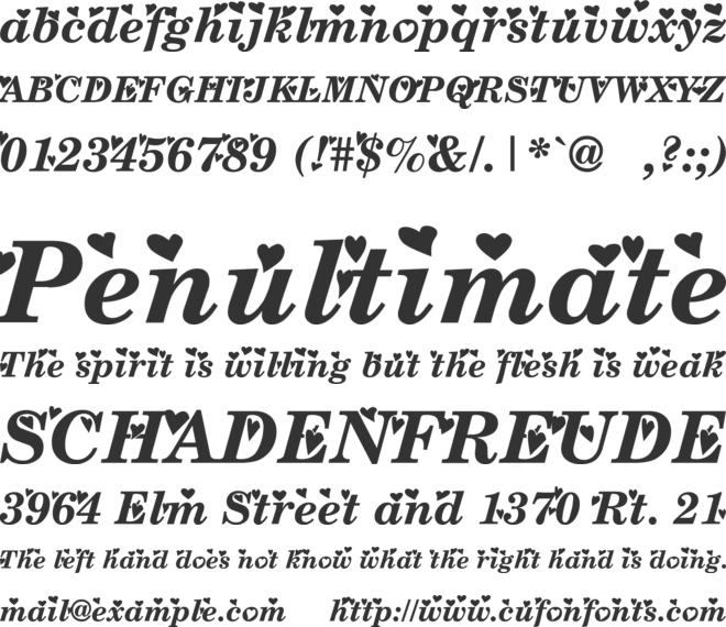 Times New Romance font preview