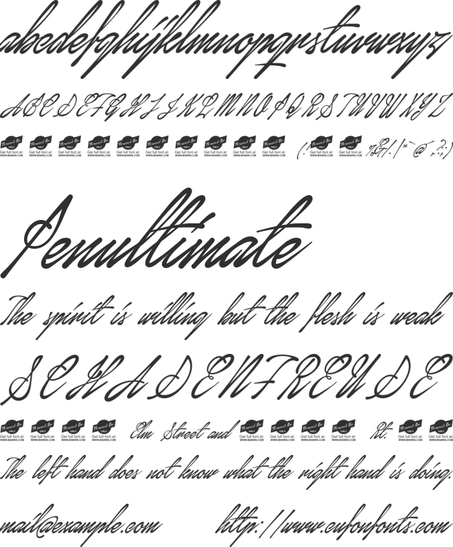 January Script Personal Use font preview