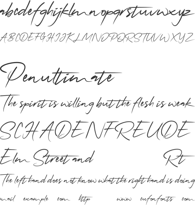 QonitaSignature font preview
