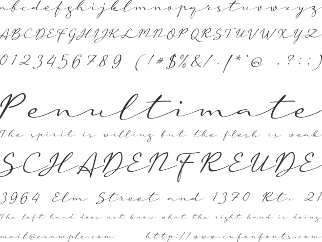a Auto Signature font preview