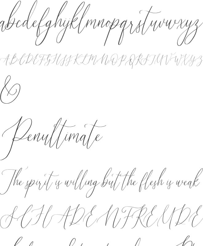 Audrey and Reynold font preview