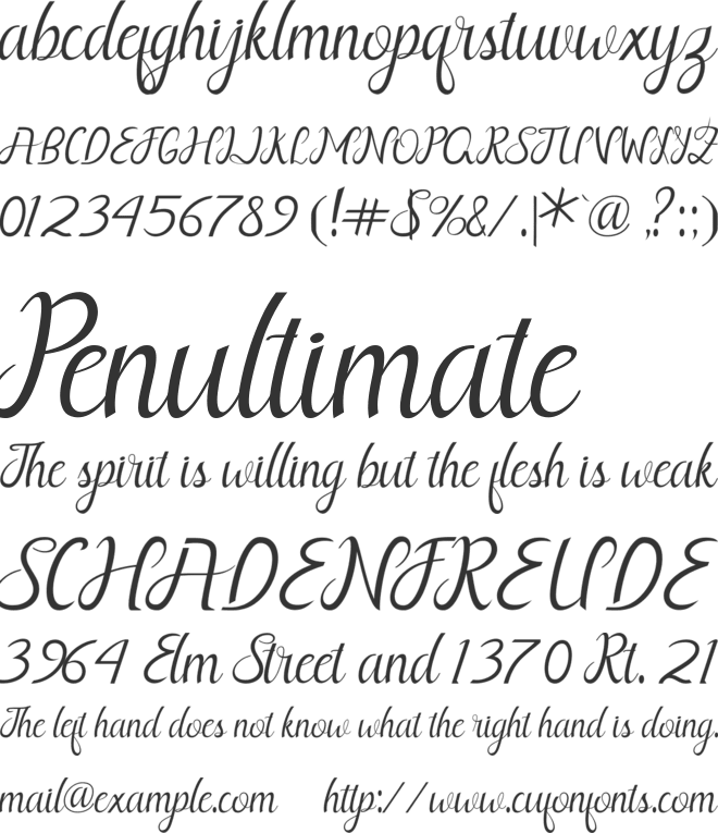 Nayla Free font preview