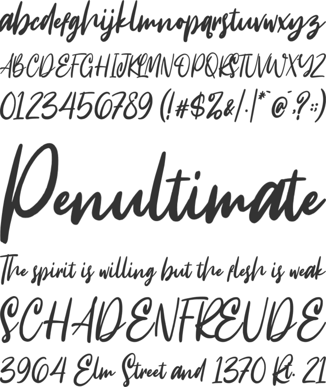 Intensity font preview