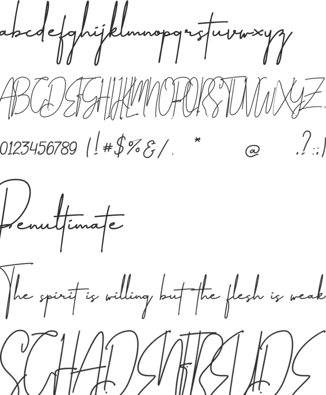 Amillia Signature font preview