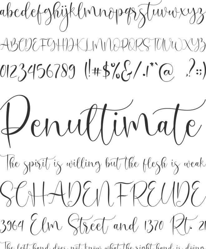 oh beloved font preview