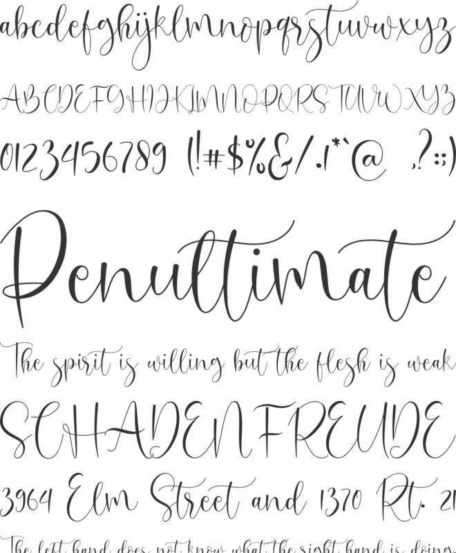 oh beloved font preview