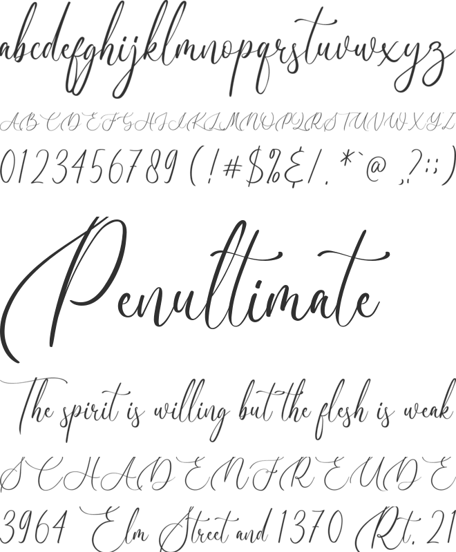 Birallina font preview