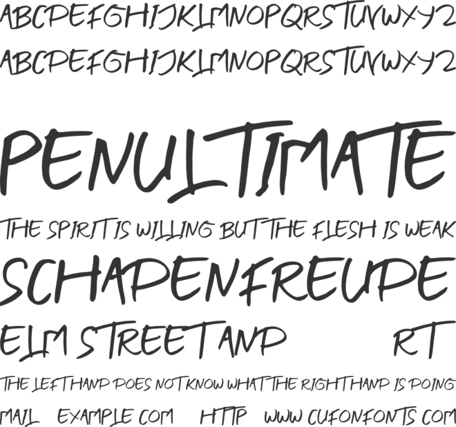 BLENDER BRUSH font preview