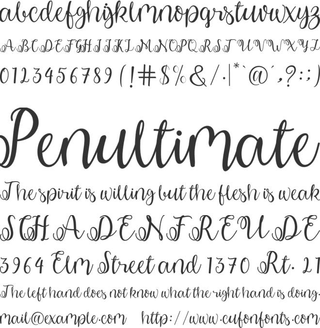 shabila font preview