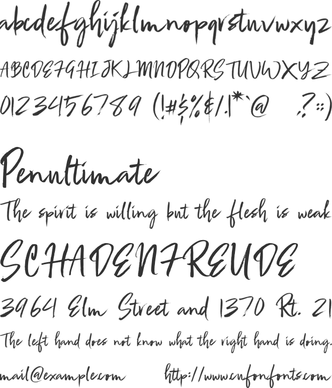 Zignature font preview