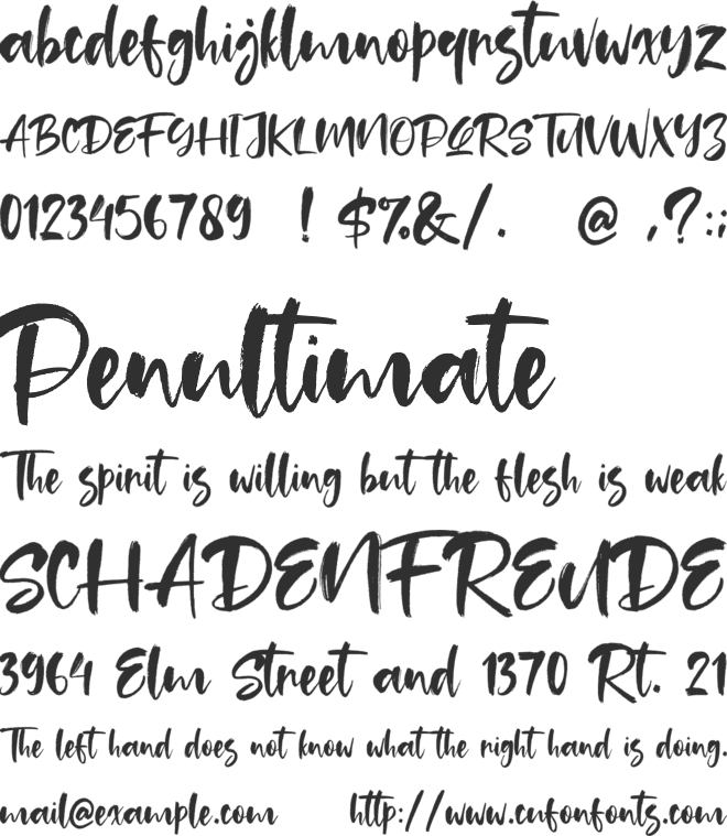 Tuckers font preview