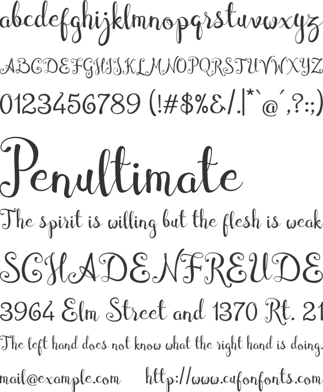 Cymbidium font preview